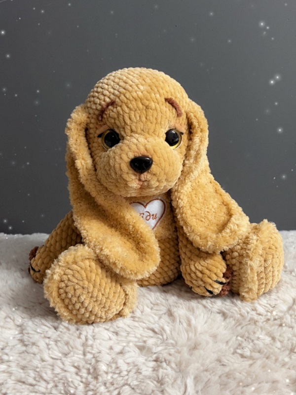Labrador