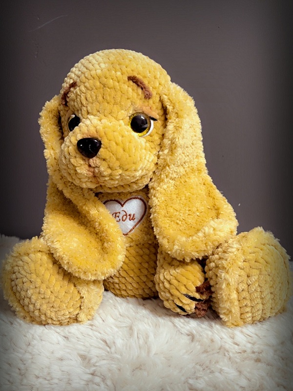 Labrador