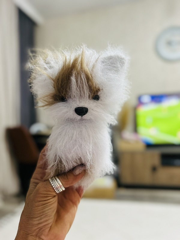 Theodore